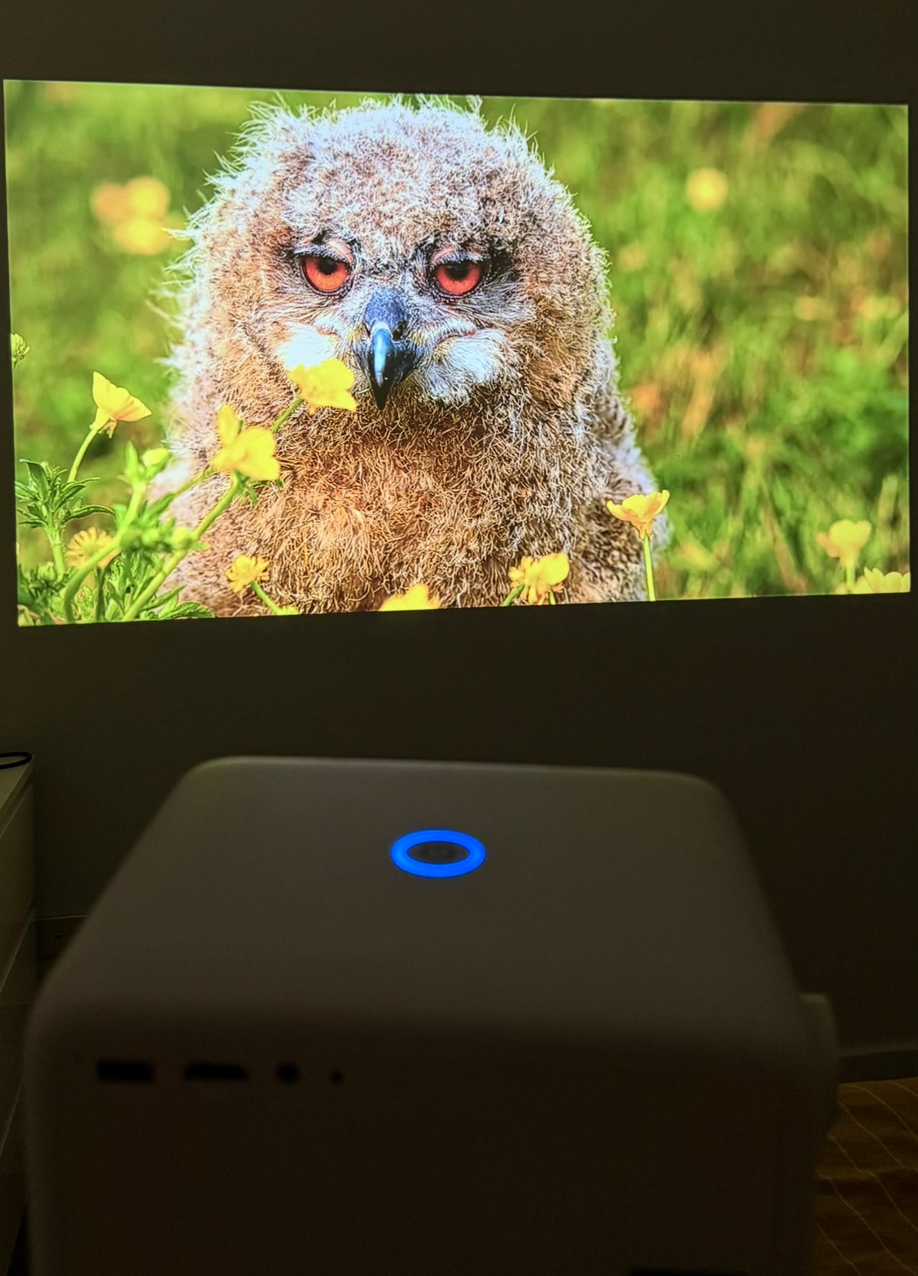 (NEW) 4K ULTRA PROJECTOR